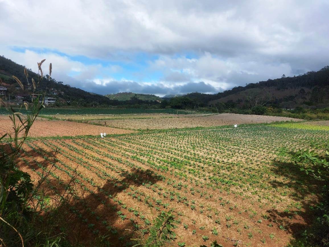 Sítio, 2 quartos, 8 hectares - Foto 26