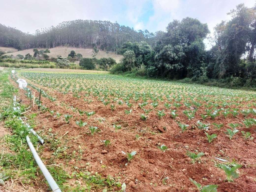 Sítio, 2 quartos, 8 hectares - Foto 27