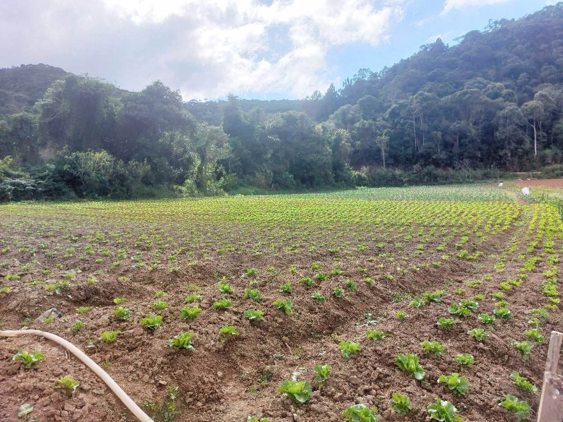 Sítio, 2 quartos, 8 hectares - Foto 28