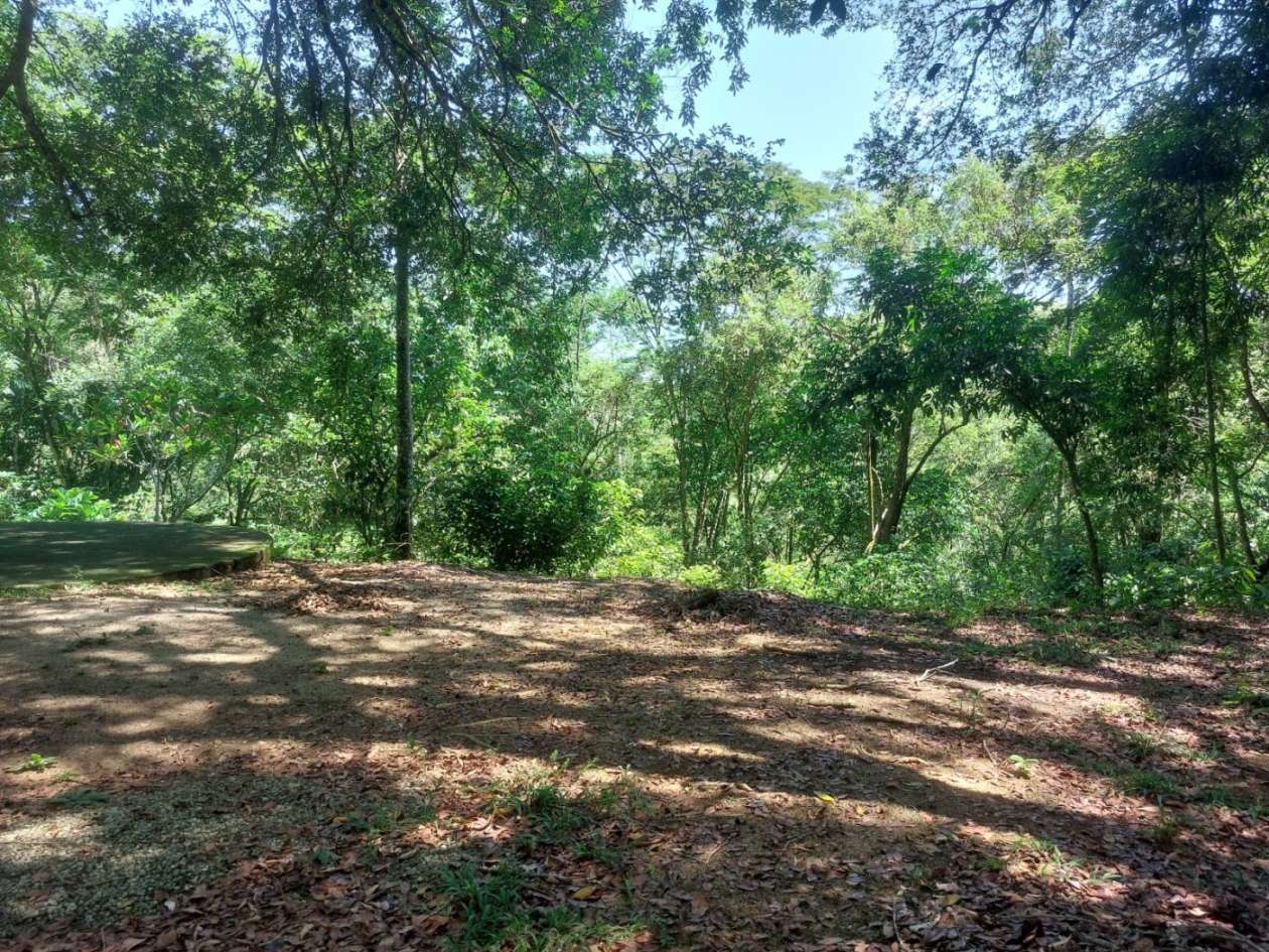 Sítio, 4 quartos, 46 hectares - Foto 7