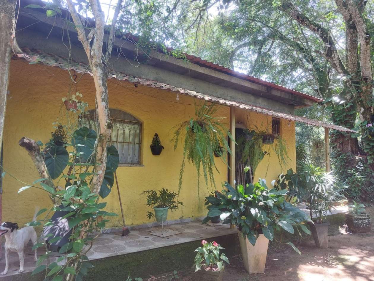 Sítio, 4 quartos, 46 hectares - Foto 8