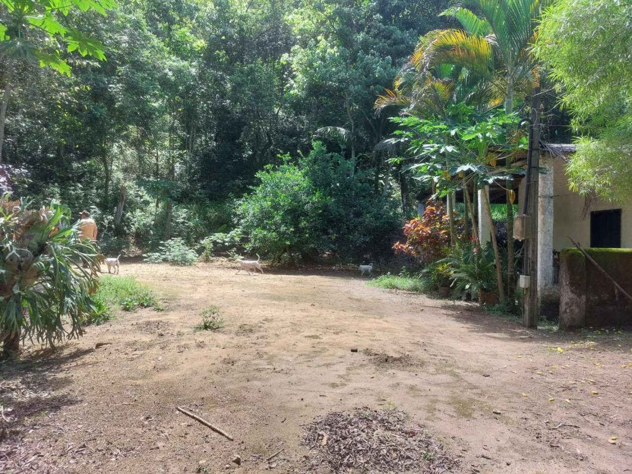 Sítio, 4 quartos, 46 hectares - Foto 15