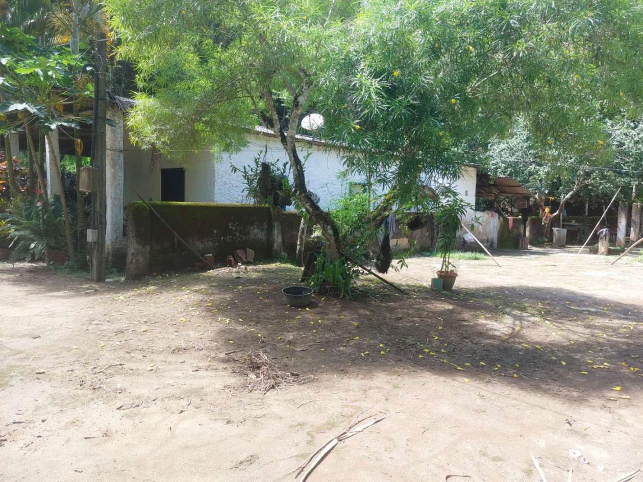 Sítio, 4 quartos, 46 hectares - Foto 17