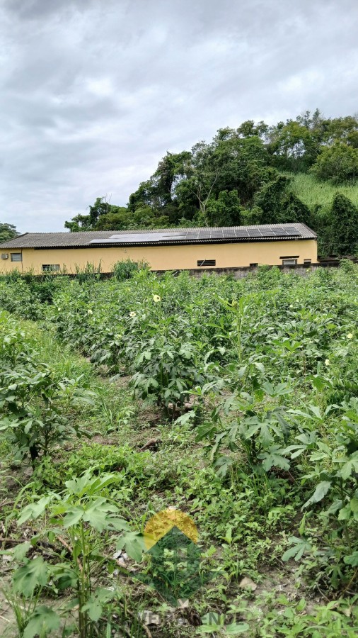 Sítio, 2 quartos, 2 hectares - Foto 6