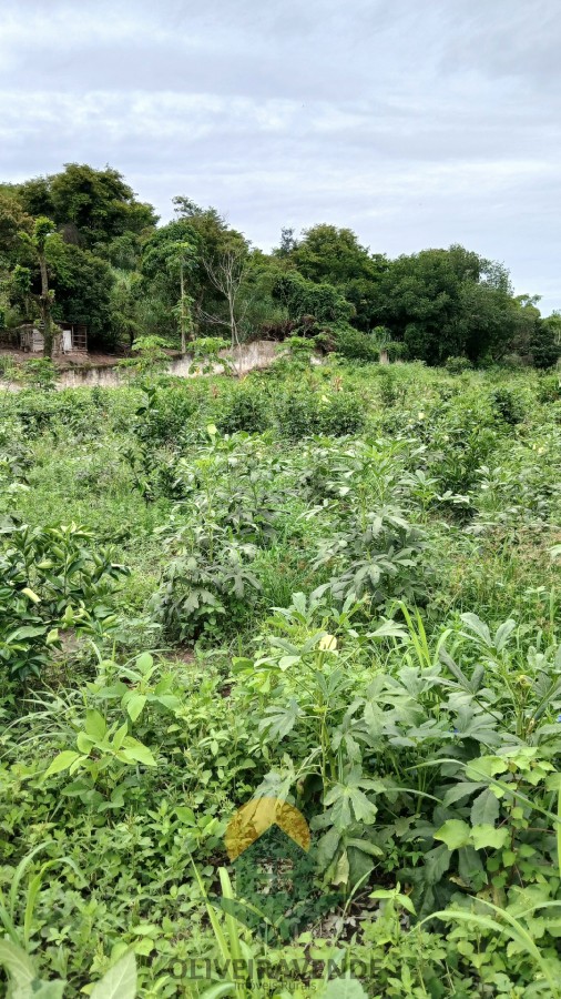 Sítio, 2 quartos, 2 hectares - Foto 7