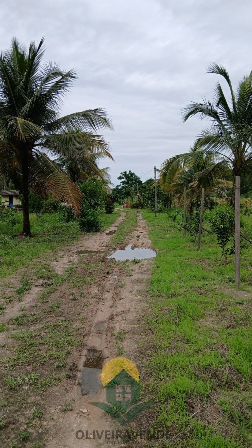 Sítio, 2 quartos, 2 hectares - Foto 8