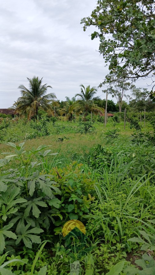 Sítio, 2 quartos, 2 hectares - Foto 4