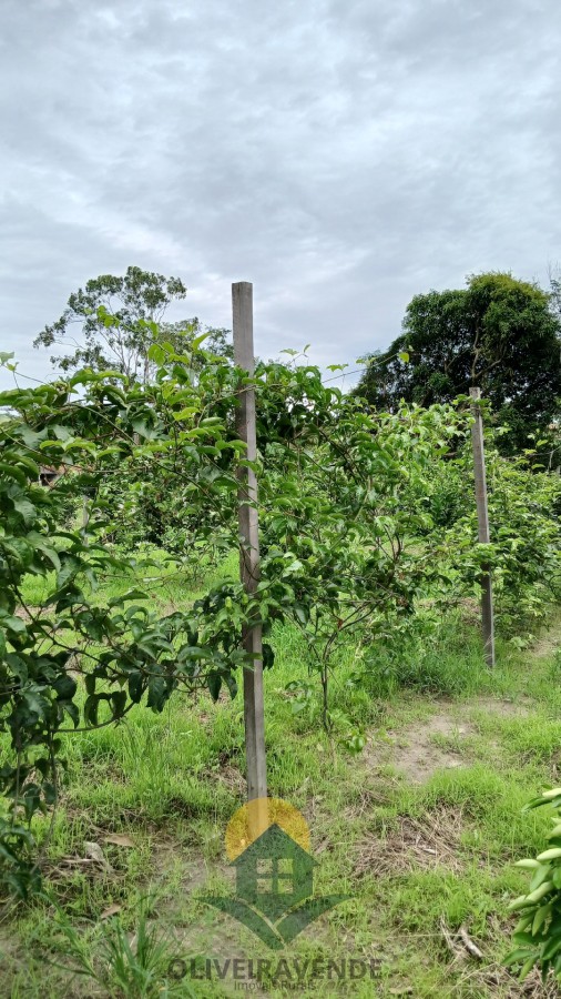 Sítio, 2 quartos, 2 hectares - Foto 5