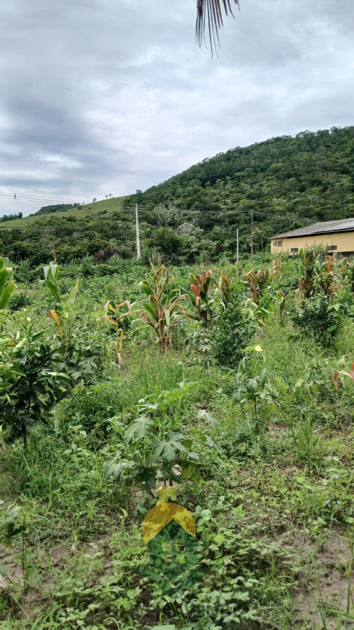 Sítio, 2 quartos, 2 hectares - Foto 10