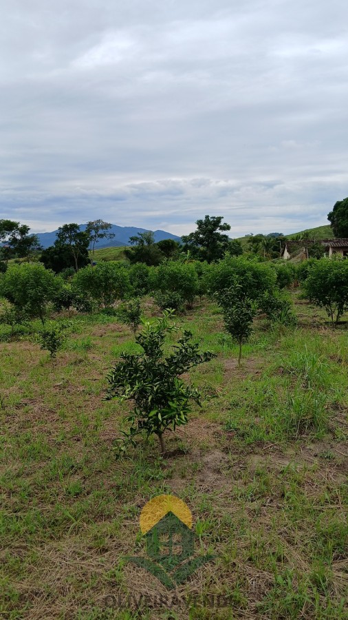 Sítio, 2 quartos, 2 hectares - Foto 12