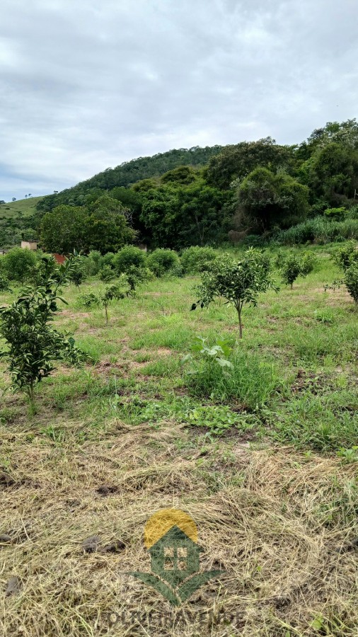 Sítio, 2 quartos, 2 hectares - Foto 15