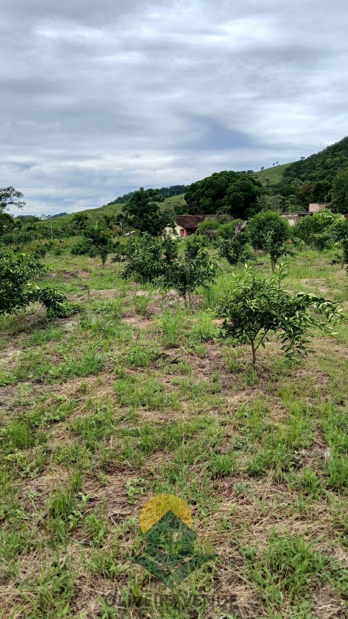 Sítio, 2 quartos, 2 hectares - Foto 16