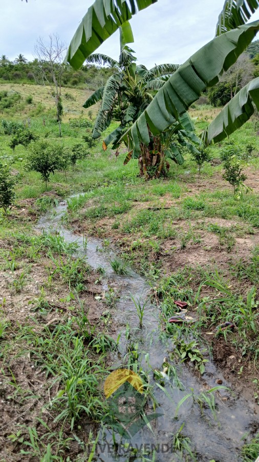 Sítio, 2 quartos, 2 hectares - Foto 17