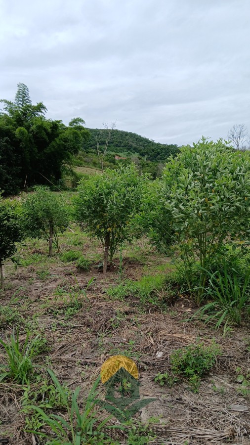 Sítio, 2 quartos, 2 hectares - Foto 20