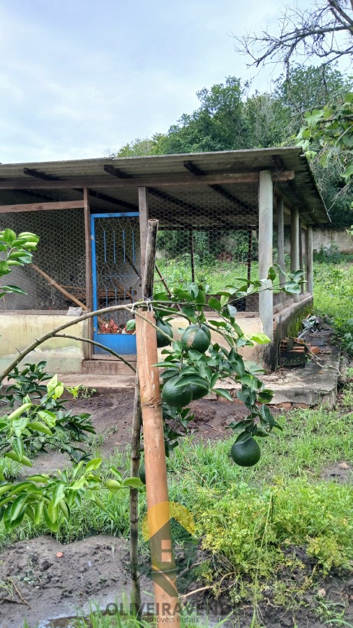 Sítio, 2 quartos, 2 hectares - Foto 21