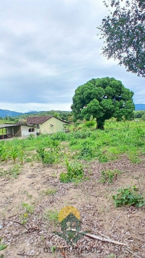 Sítio, 2 quartos, 2 hectares - Foto 25