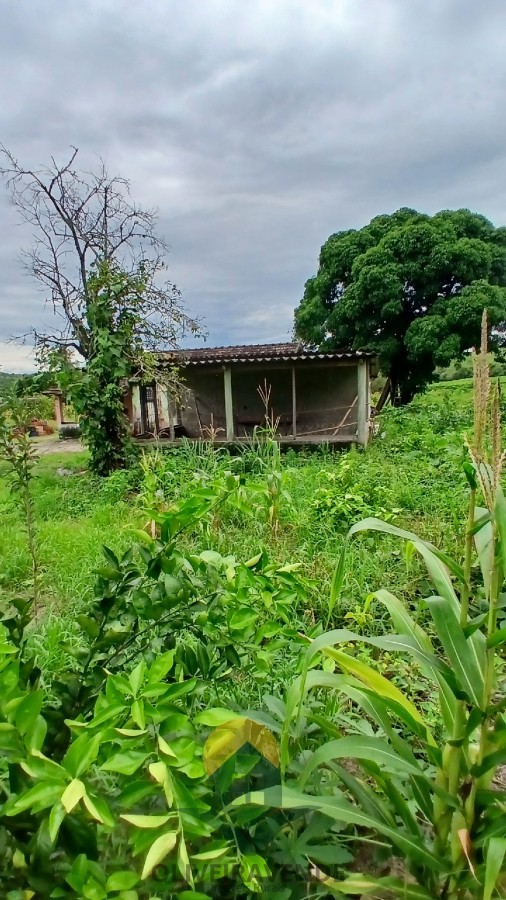 Sítio, 2 quartos, 2 hectares - Foto 24