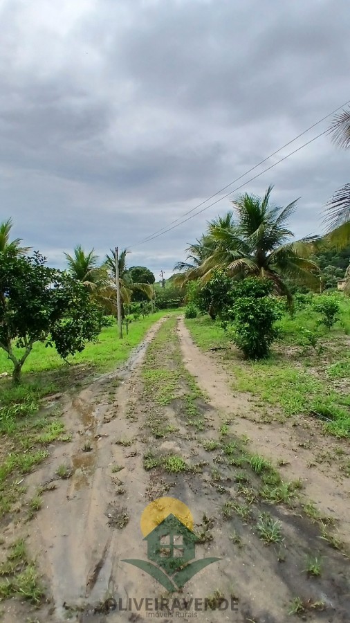 Sítio, 2 quartos, 2 hectares - Foto 28