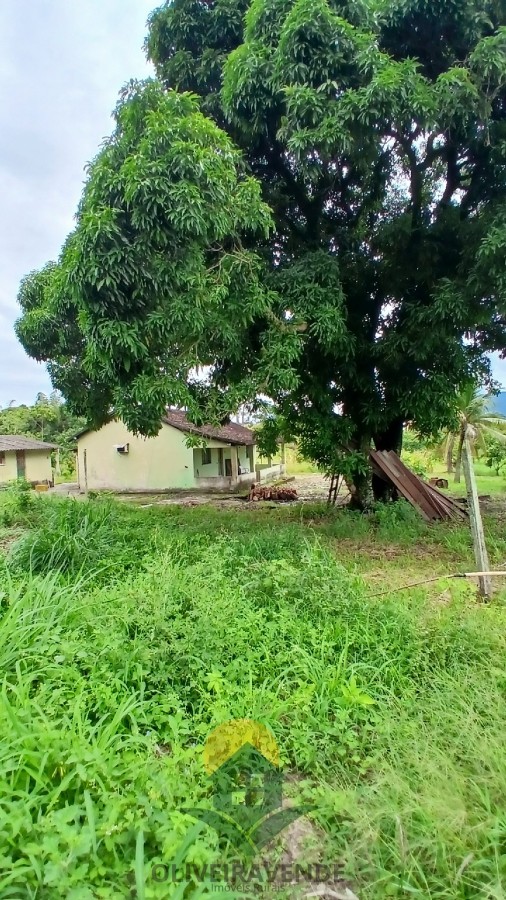 Sítio, 2 quartos, 2 hectares - Foto 1