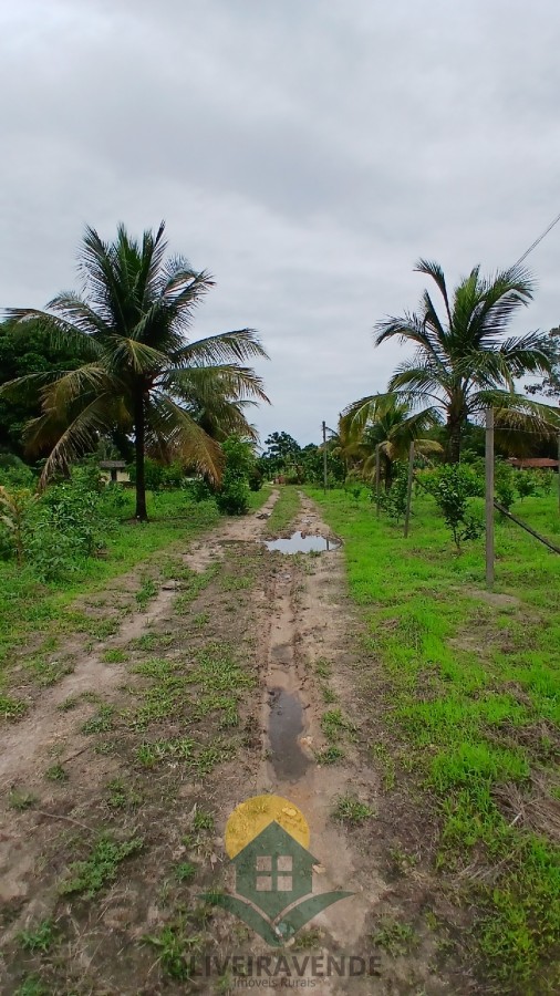 Sítio, 2 quartos, 2 hectares - Foto 29