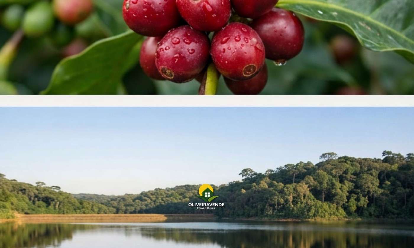 Fazenda, 29 hectares - Foto 14