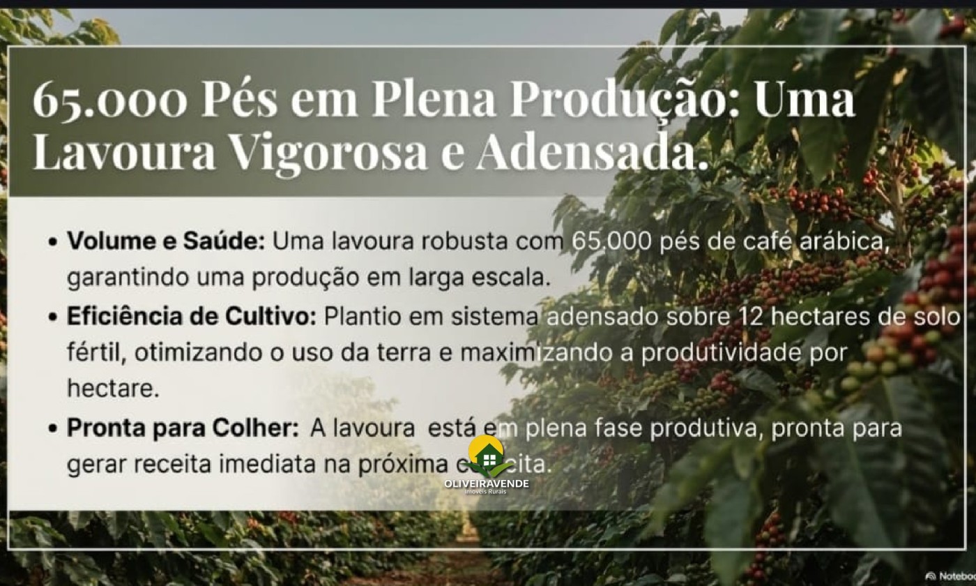 Fazenda, 29 hectares - Foto 17
