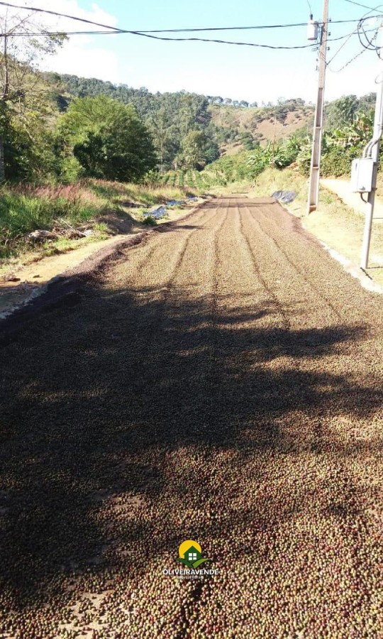 Fazenda, 29 hectares - Foto 8