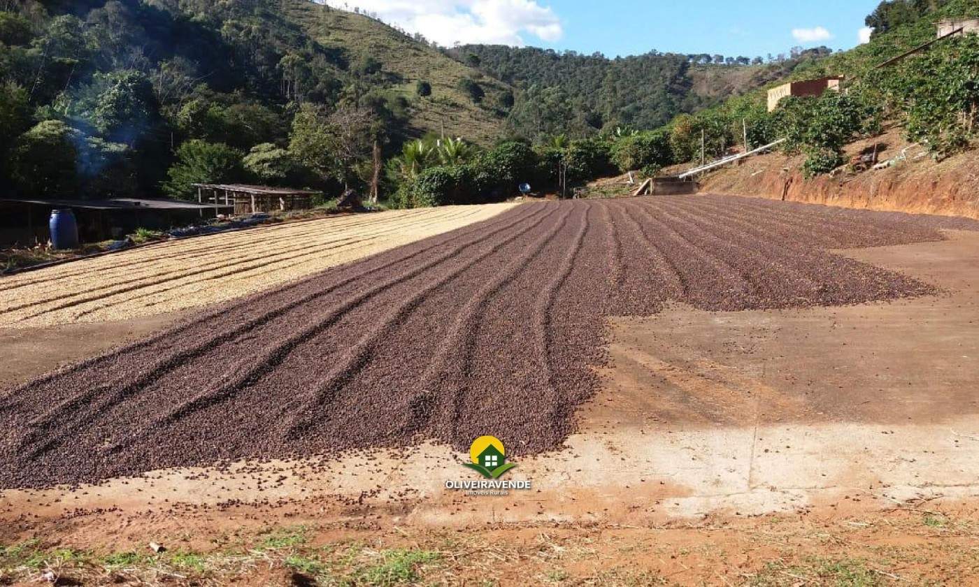 Fazenda, 29 hectares - Foto 7