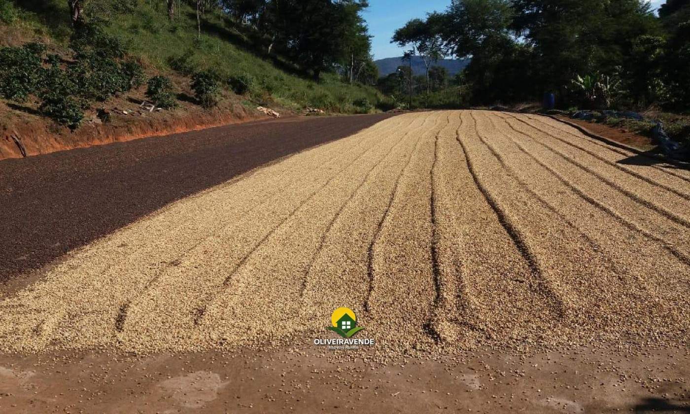 Fazenda, 29 hectares - Foto 6