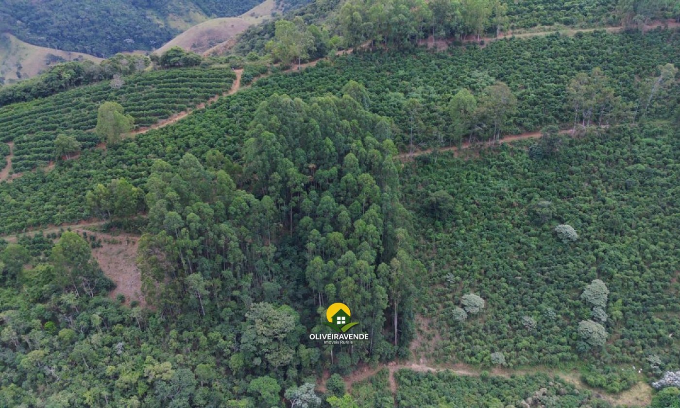 Fazenda, 29 hectares - Foto 15