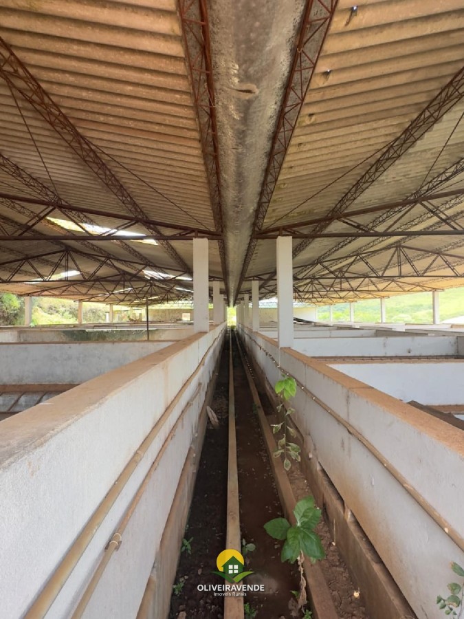 Fazenda, 880 m² - Foto 8