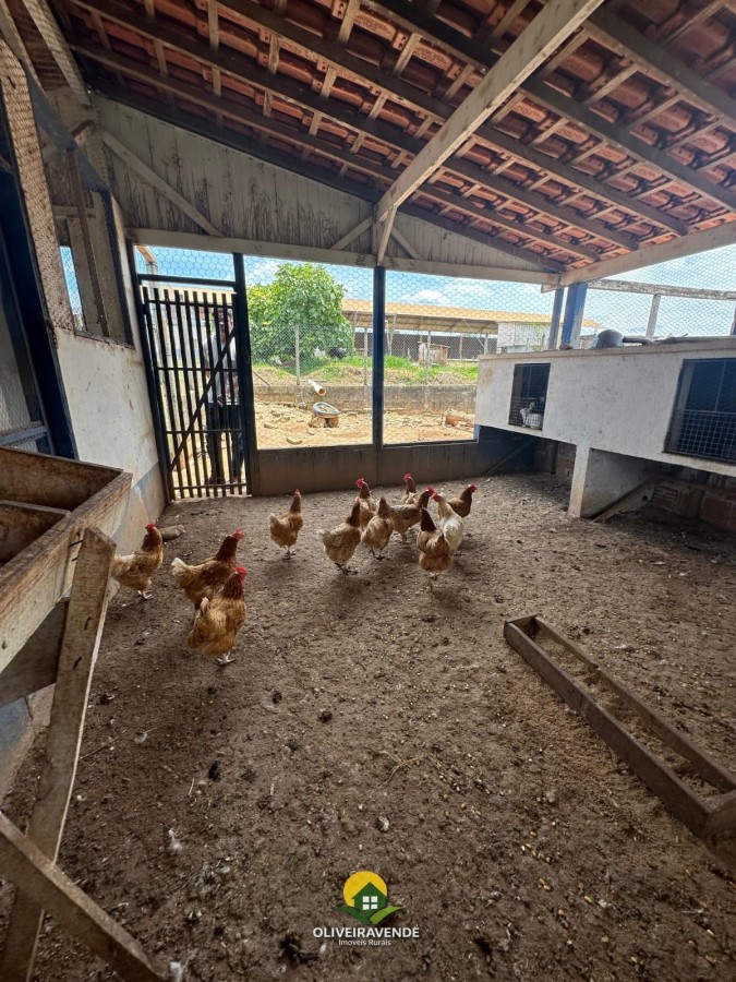 Fazenda, 880 m² - Foto 18