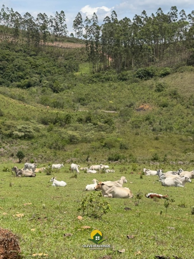 Fazenda, 880 m² - Foto 42