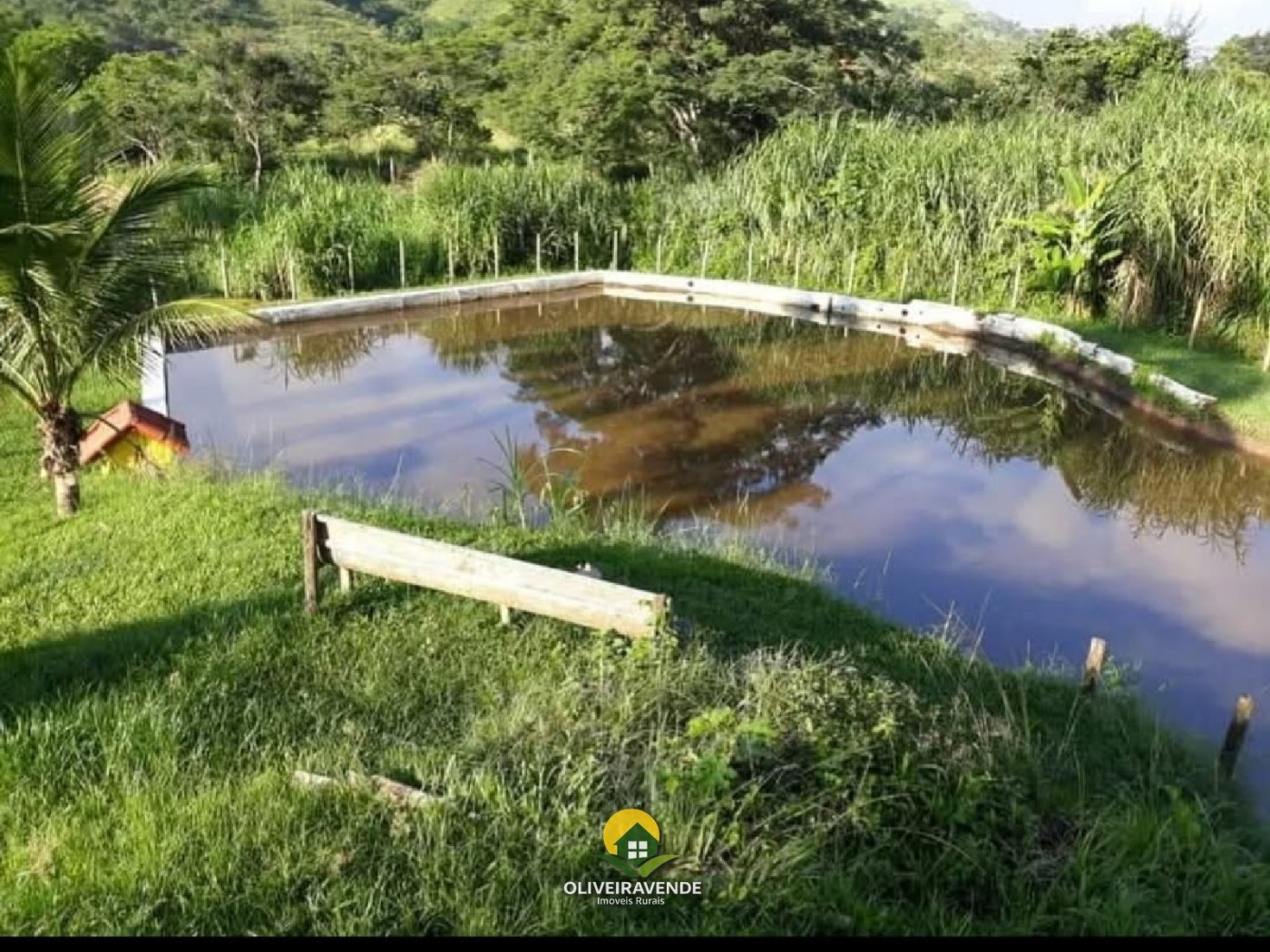Chácara, 4 quartos, 5 hectares - Foto 3