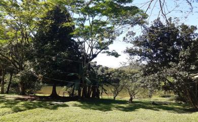 Fazenda, 43 m² - Foto 11