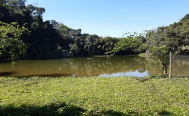 Fazenda, 43 m² - Foto 12