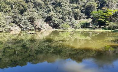 Fazenda, 43 m² - Foto 8