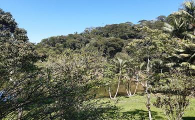 Fazenda, 43 m² - Foto 10