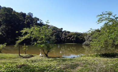 Fazenda, 43 m² - Foto 15