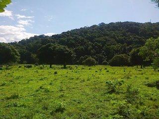 Fazenda, 43 m² - Foto 22