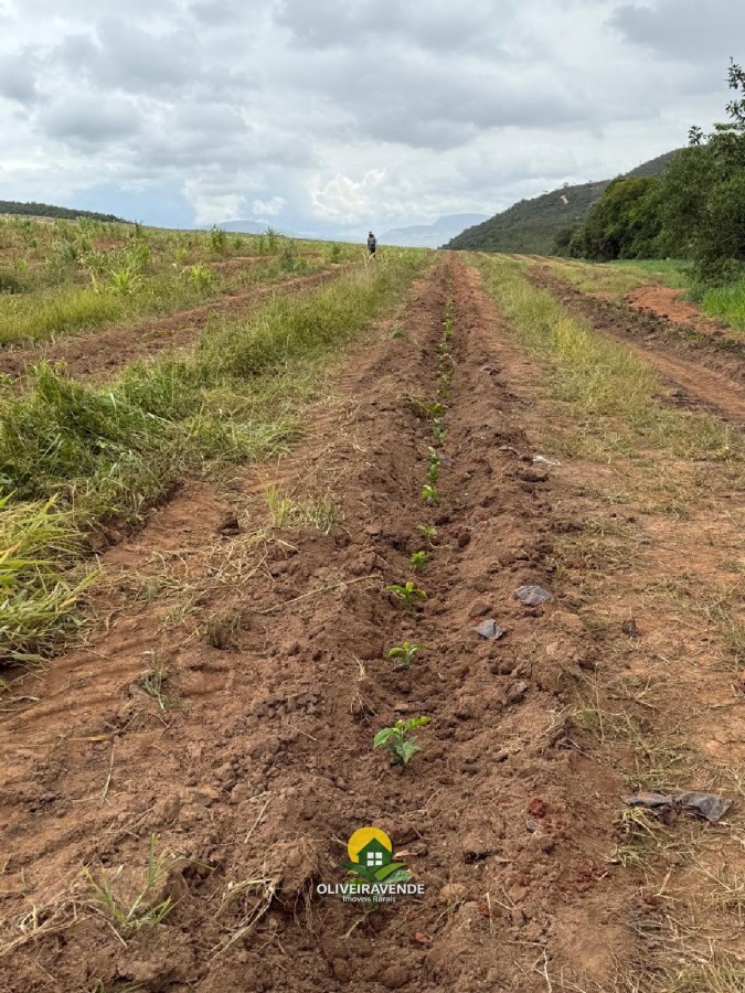 Fazenda, 97 m² - Foto 7