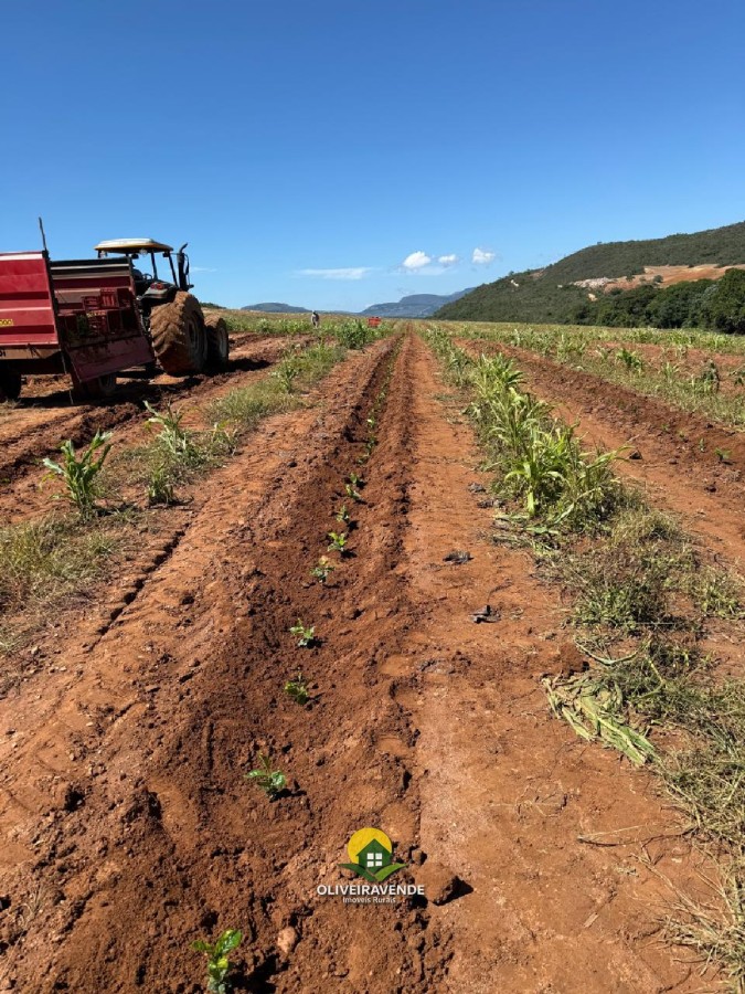 Fazenda, 97 m² - Foto 6