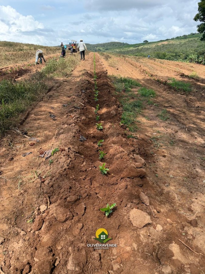 Fazenda, 97 m² - Foto 8