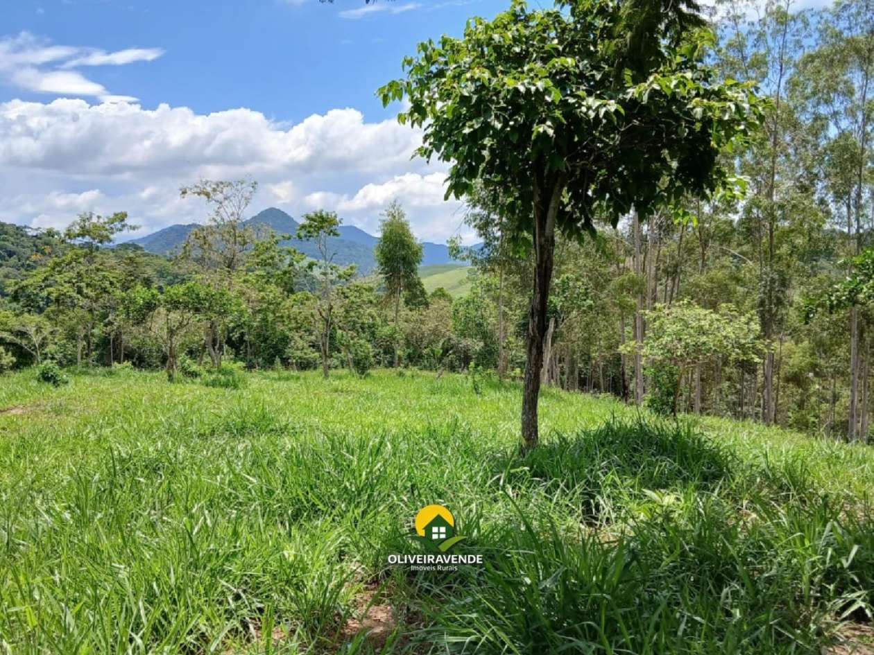 Sítio, 3 quartos, 3 hectares - Foto 5