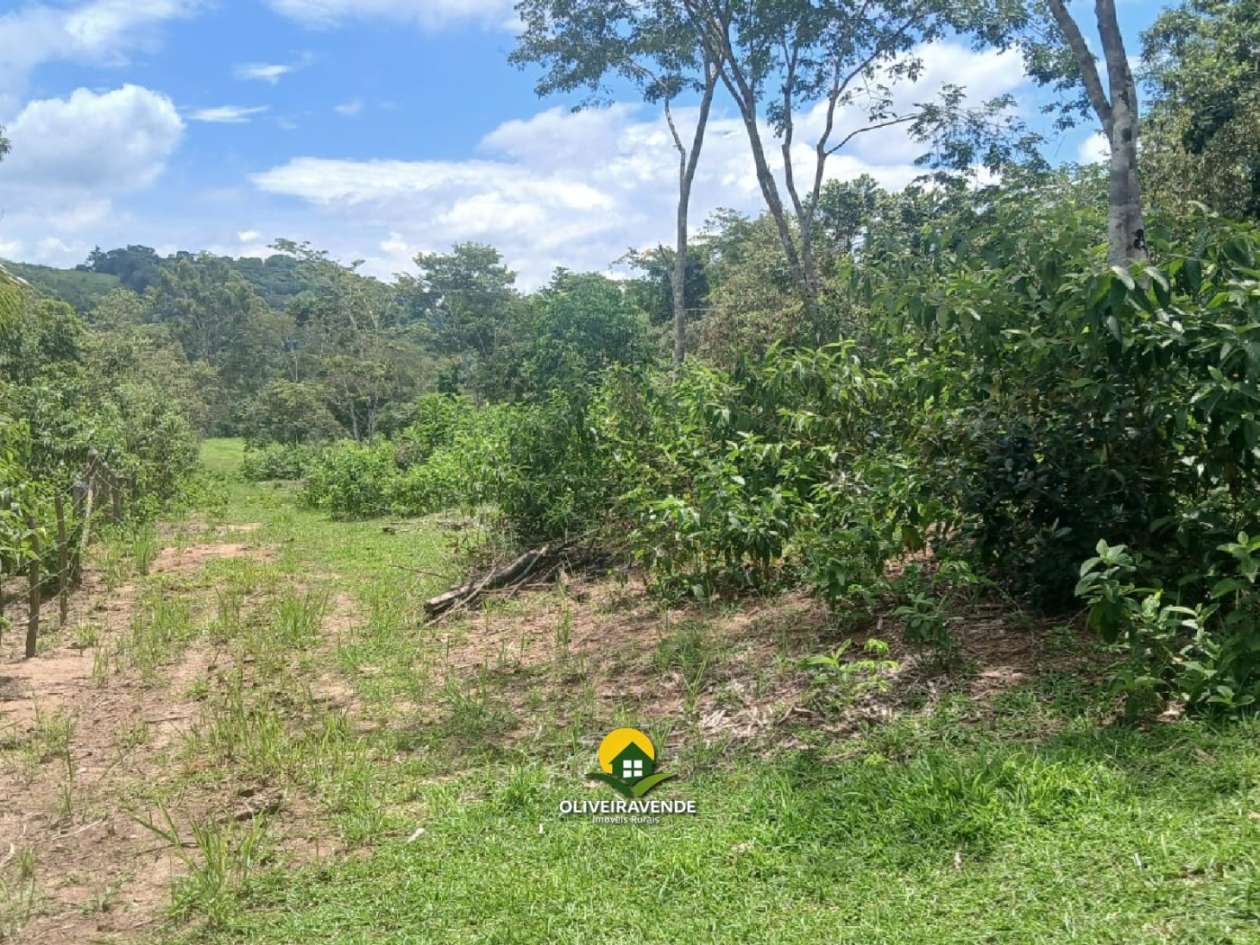 Sítio, 3 quartos, 3 hectares - Foto 21