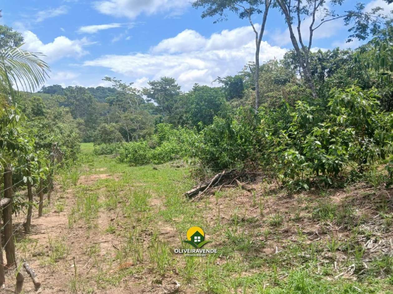 Sítio, 3 quartos, 3 hectares - Foto 22