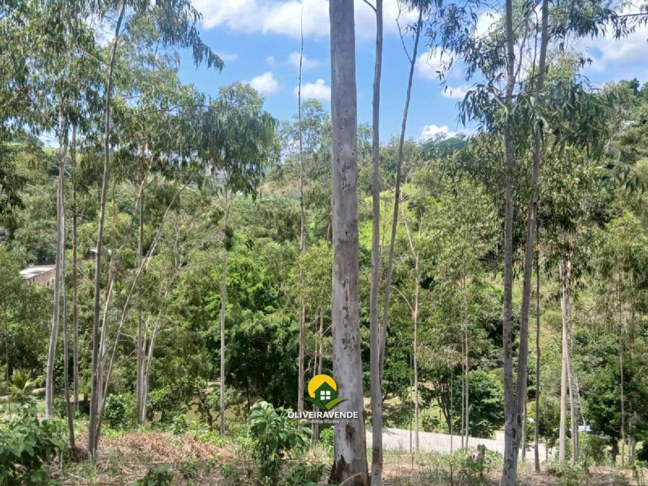 Sítio, 3 quartos, 3 hectares - Foto 23