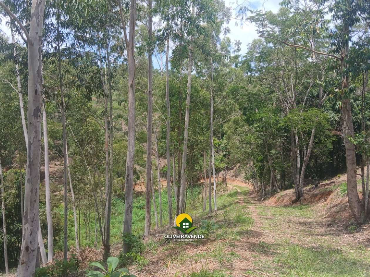 Sítio, 3 quartos, 3 hectares - Foto 24