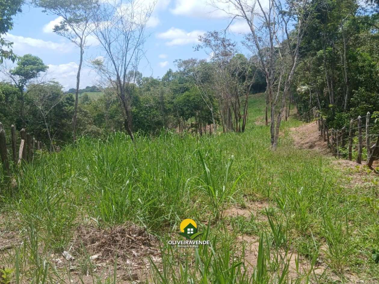 Sítio, 3 quartos, 3 hectares - Foto 25