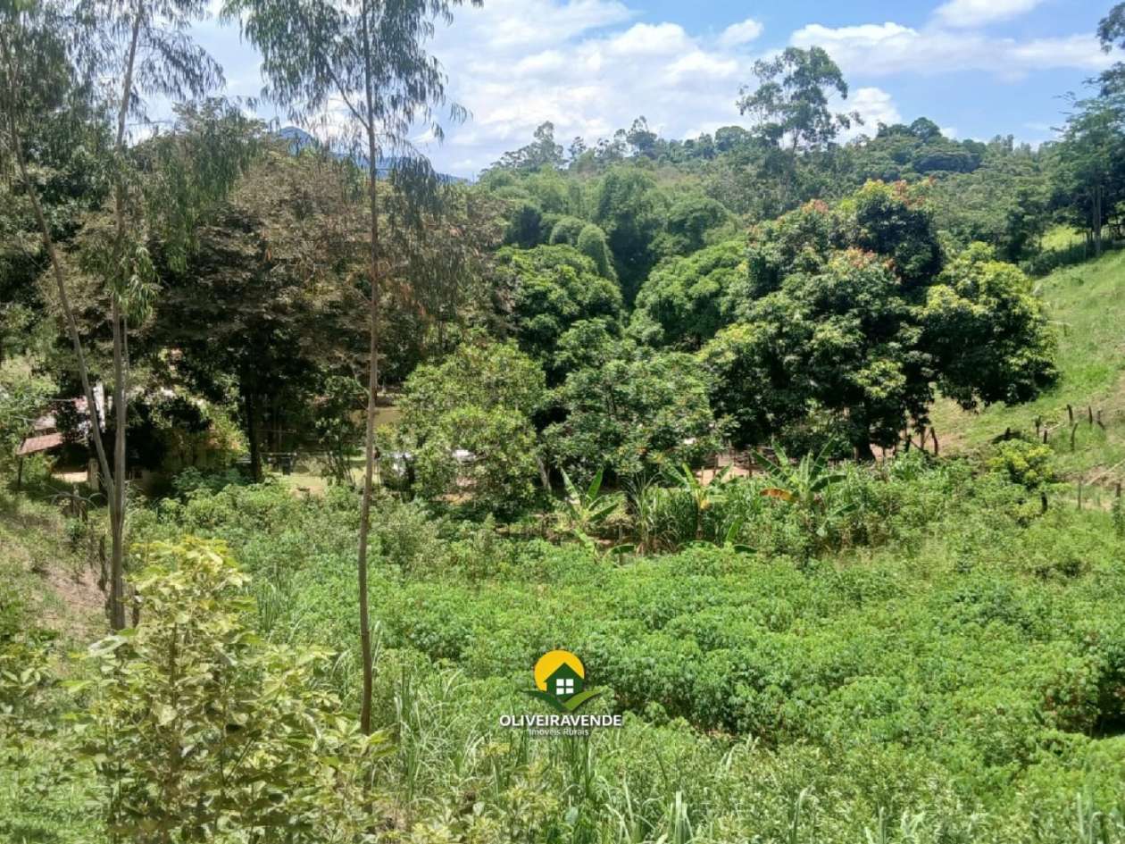 Sítio, 3 quartos, 3 hectares - Foto 26